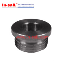 DIN908 Wholesale Flanged Hexagon Socket Screw Plugs of Pipe Fitting